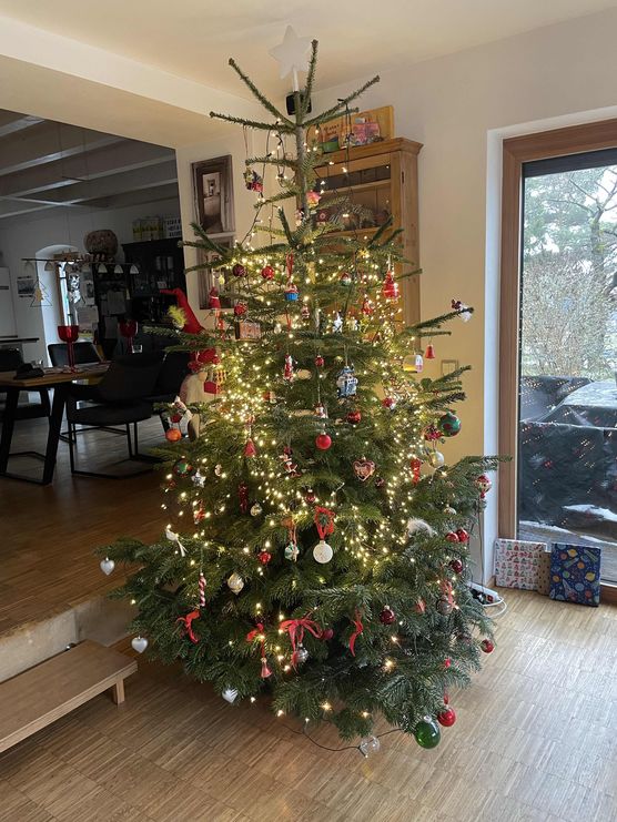 Bild von ilona7 Bild von ilona7