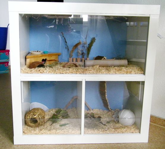 Übergangswohnung Übergangswohnung