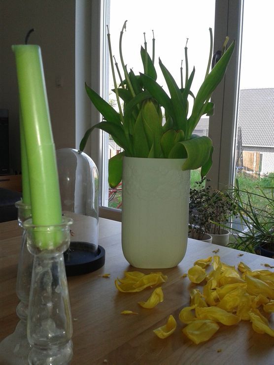 Werk der Kinder Werk der Kinder