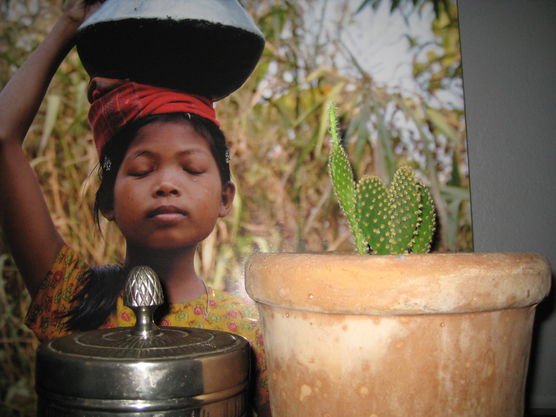 Kaktusüberraschung!!!! Kaktusüberraschung!!!!