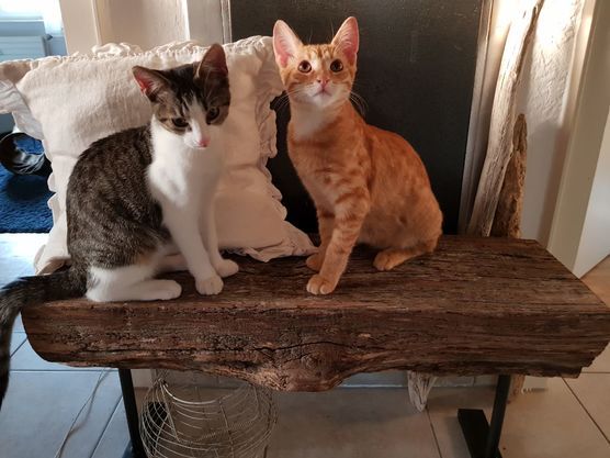 Neuer Lieblingsplatz Neuer Lieblingsplatz