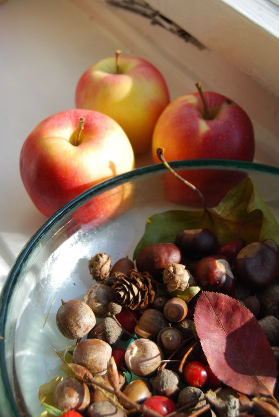 Gesammeltes Gesammeltes