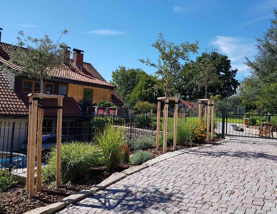 Bild von riox94 Bild von riox94