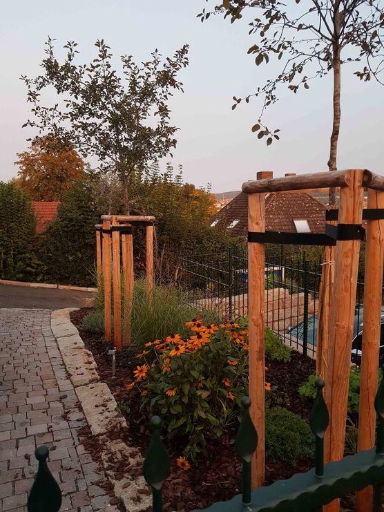 Bild von riox94 Bild von riox94