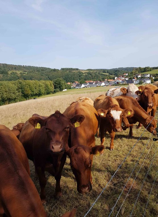 Bild von riox94 Bild von riox94