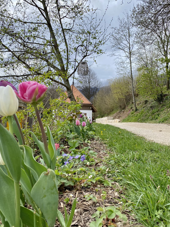 Nach dem sonntäglichen Ausfährtchen Nach dem sonntäglichen Ausfährtchen