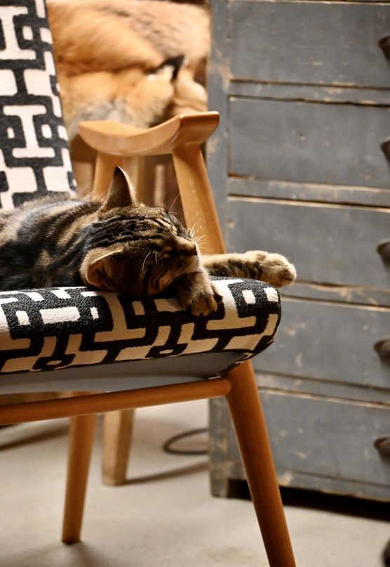 Geniesst das Wochenende und Geniesst das Wochenende und