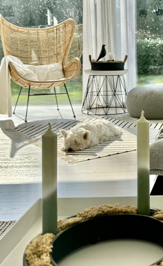 Leseecke im Sonnenschein Leseecke im Sonnenschein