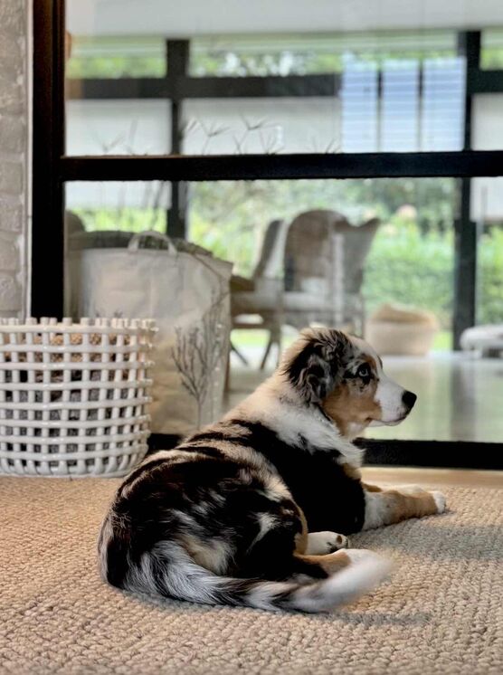 Bild von FrauWER Bild von FrauWER