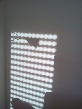 Schattenbild Schattenbild