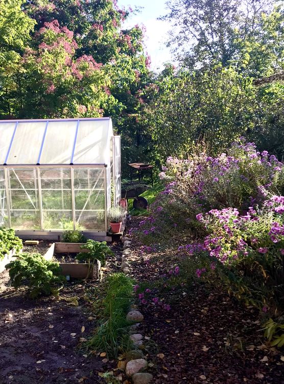 VioletterOktober VioletterOktober