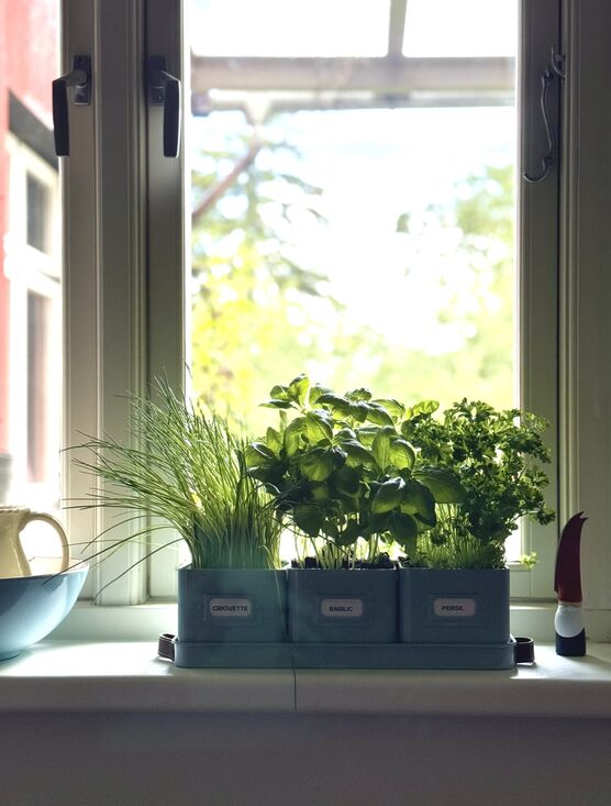 Bild von dasFrolleinNINI Bild von dasFrolleinNINI