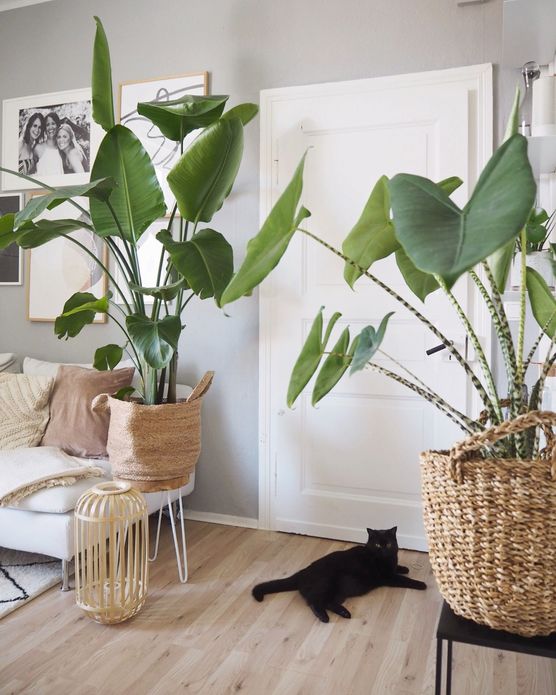 Ich bin bis über Ich bin bis über