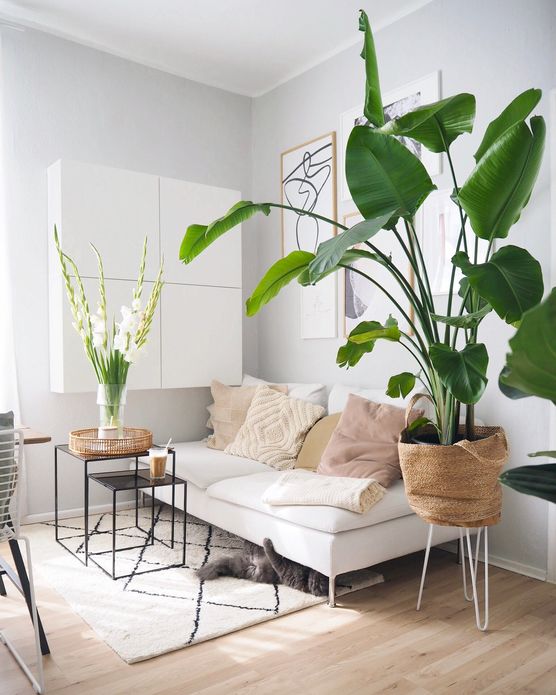 Wir sind wirklich froh, Wir sind wirklich froh,