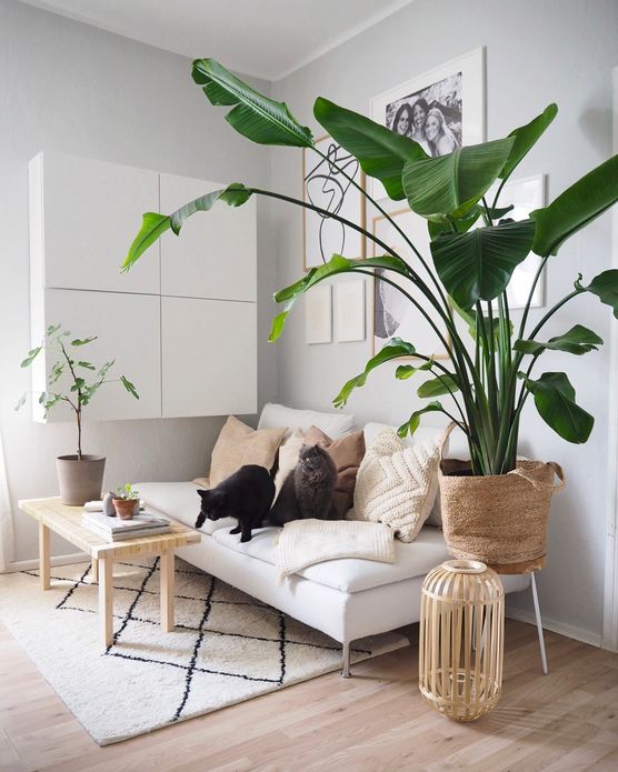 Hier ist in den Hier ist in den