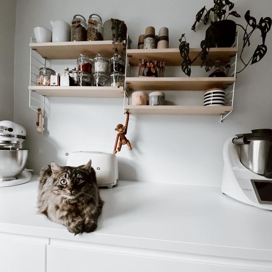 Bild von Franzi Bepunkt Bild von Franzi Bepunkt