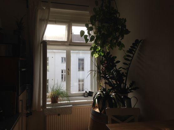 Ich bin definitiv Team Ich bin definitiv Team