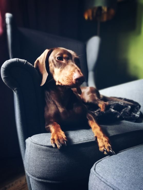 Lieblingsplatz in der Sonne Lieblingsplatz in der Sonne