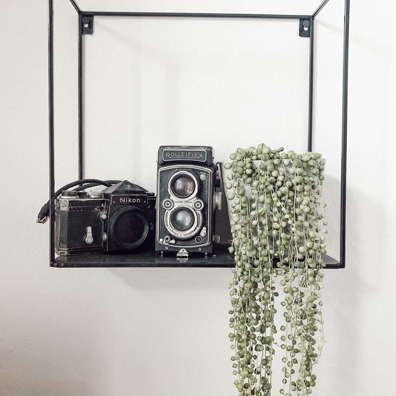 Bild von Kleinealtbauwohnung Bild von Kleinealtbauwohnung