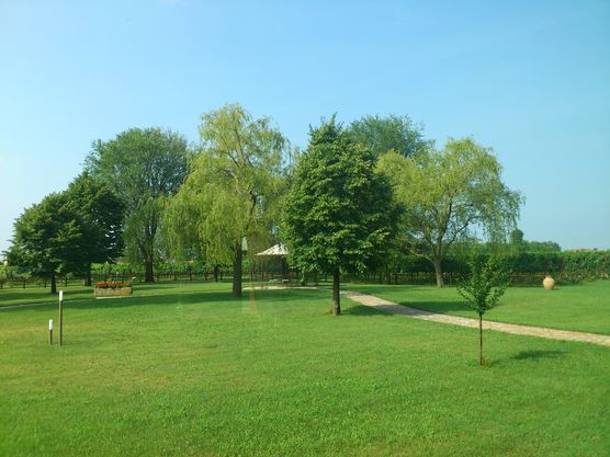 frühstücken auf dem Weingut frühstücken auf dem Weingut