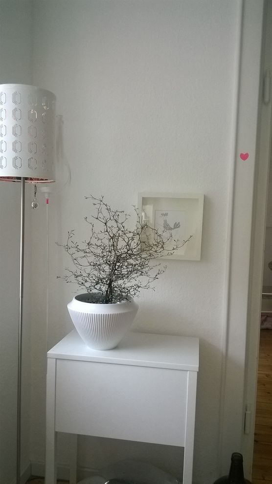 Zick Zack Strauch Zick Zack Strauch