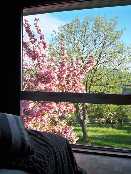 Ausblick aus dem Schlafzimmerfenster Ausblick aus dem Schlafzimmerfenster