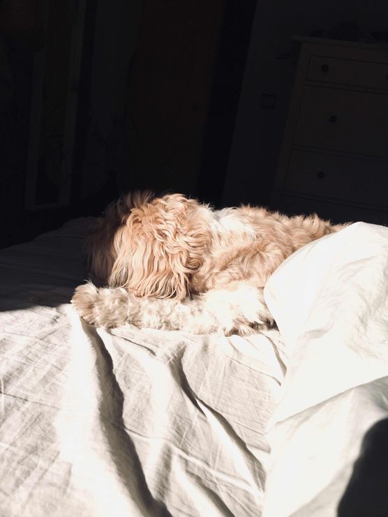 Bild von lebherz Bild von lebherz