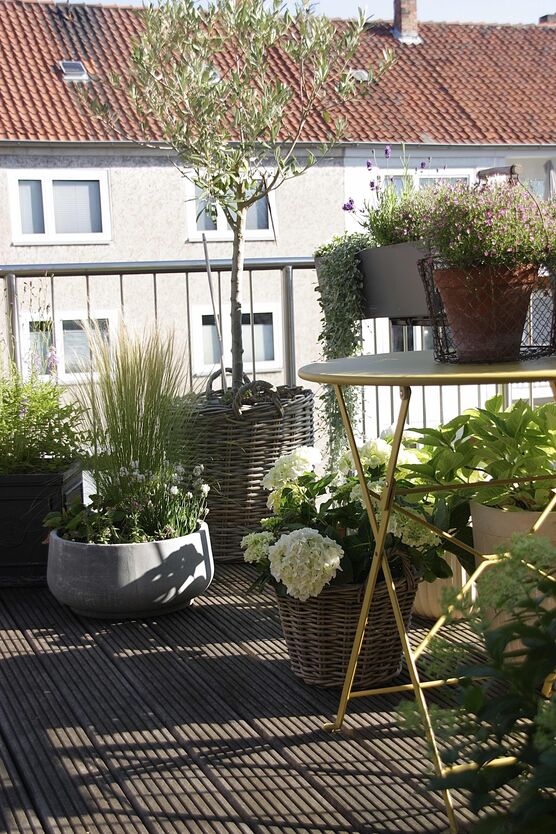 Bild von lebherz Bild von lebherz