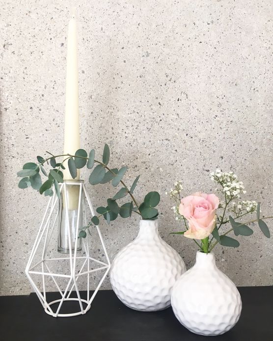 Eukalyptusliebe Eukalyptusliebe