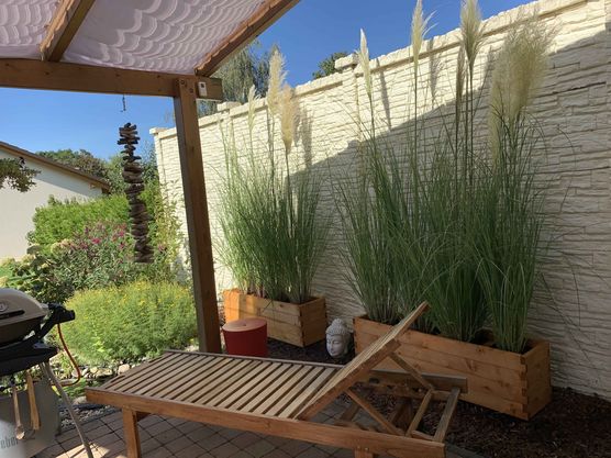 Bild von Friesenhome Bild von Friesenhome