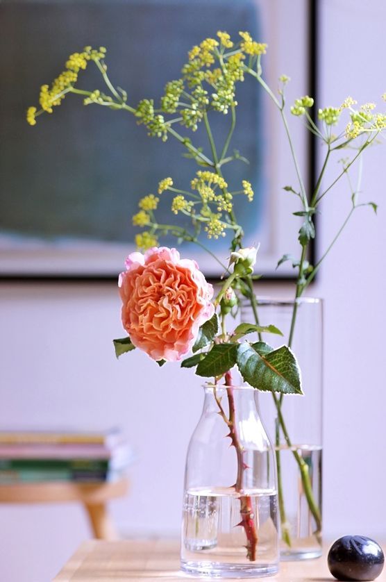 Heute bei mir in der Vase Heute bei mir in der Vase