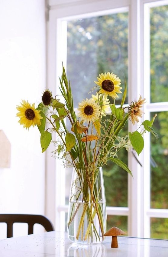 Heute bei mir in Heute bei mir in