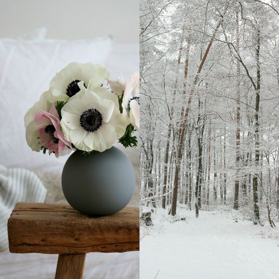 Winterliebe Winterliebe