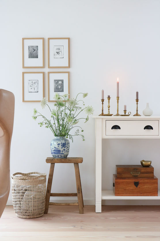 Wilde Möhre aus unserem Wilde Möhre aus unserem