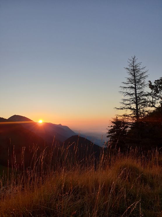 Ongelofelijk mooi Ongelofelijk mooi