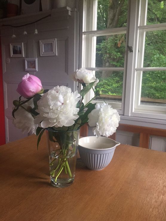 Es hat mich so Es hat mich so