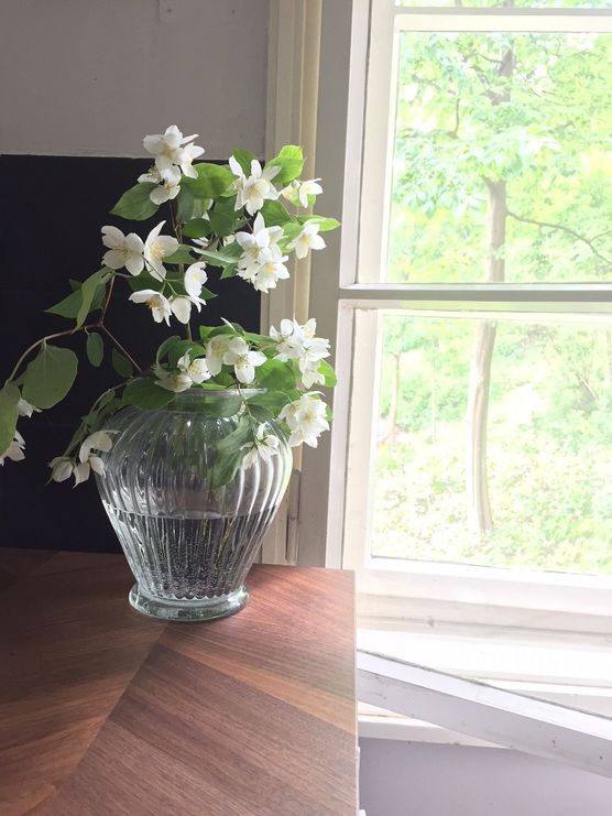 Bild von Christina Sinus Bild von Christina Sinus