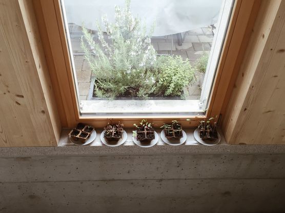 der Frühling kann kommen der Frühling kann kommen