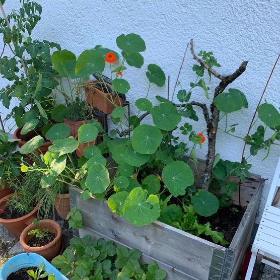 Bild von _smalteblau_ Bild von _smalteblau_