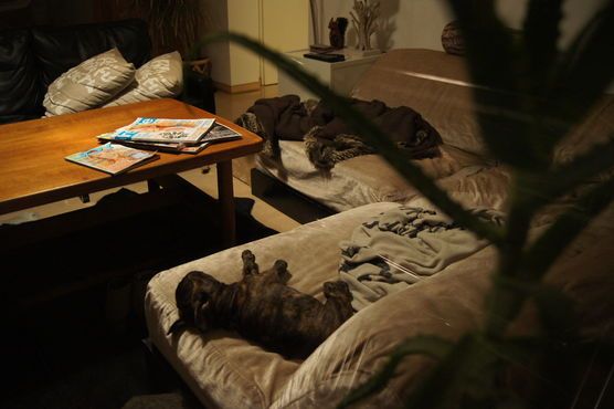 total verHUNDzt total verHUNDzt