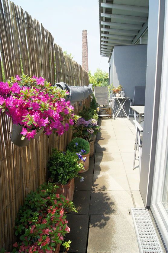 Dachgarten Dachgarten