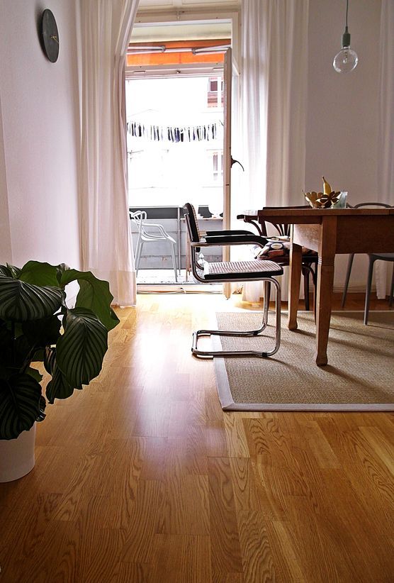 Sunny Sunday Sunny Sunday