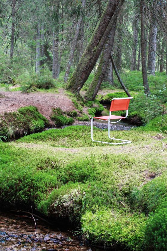 Nur ich und der Freischwinger Nur ich und der Freischwinger