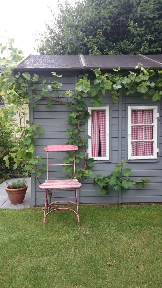 Ein neuer Sommerstuhl? Ein neuer Sommerstuhl?