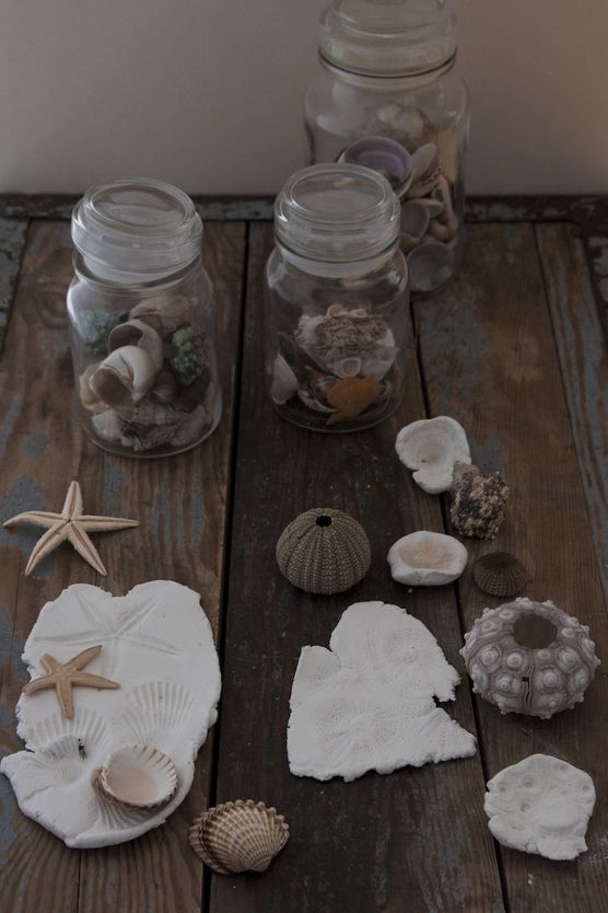 Fossilien selbstgemacht Fossilien selbstgemacht