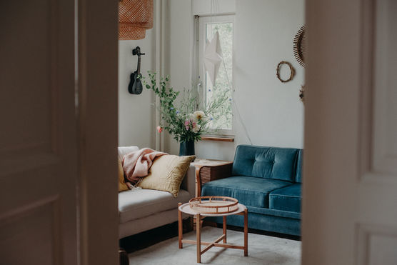 Weihnachtsstern das ganze Jahr Weihnachtsstern das ganze Jahr