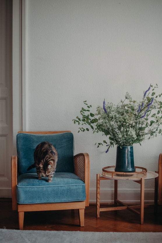 Sessel raus, Klavier rein... Sessel raus, Klavier rein...