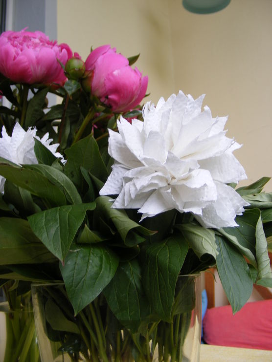 Papierblüten & Pfingstrosen Papierblüten & Pfingstrosen