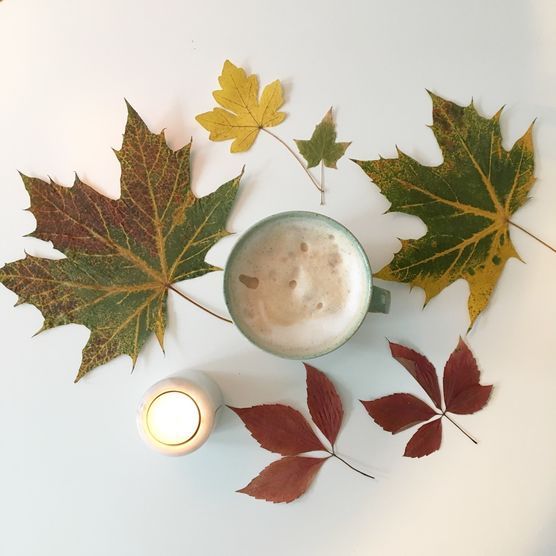 Getrocknete Blätter Getrocknete Blätter