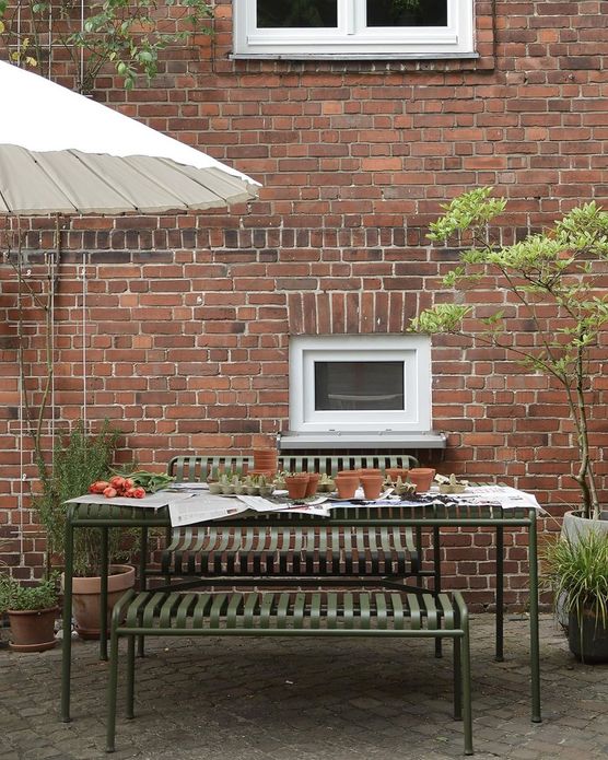 Saatgut, Gemüsepflanzen und ein Saatgut, Gemüsepflanzen und ein